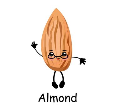 Almond nut character with hands and face. Useful food. Protein.