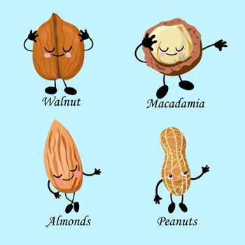 Character set of peanuts, almonds, macadamia and walnuts. Vegan food.