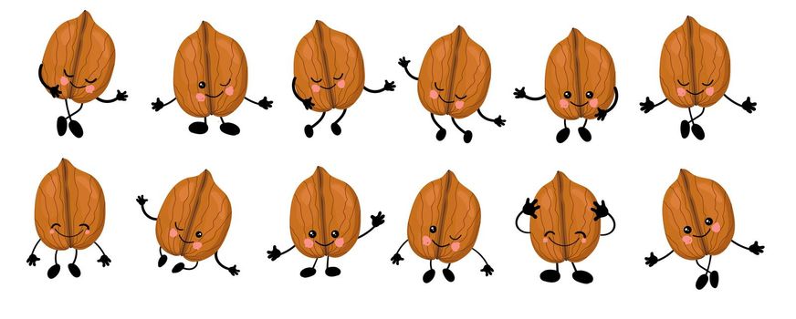 Walnut. a large set of Cute Nuts characters with hands and eyes. Cartoon fruit or vegetable. Useful vegan food. Isolated on white background.