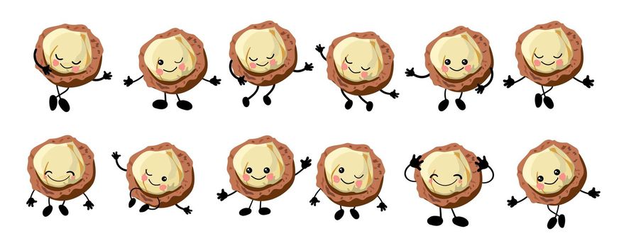 Macadamia nut. a large set of Cute Nuts characters with hands and eyes. Cartoon fruit or vegetable. Useful vegan food. Isolated on white backgroun