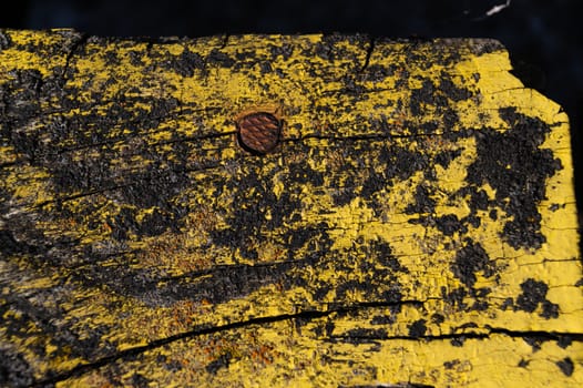 A part of old yellow wooden fence. The yellow paint on wood is old and cracked. Perfect painted wooden texture.