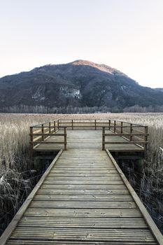 a wooden platform on the marsh