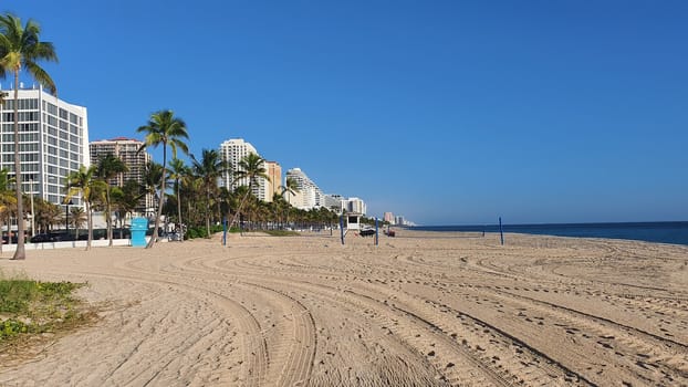 Sandy Beach of Fort Lauderdale With Blue Sky and Palm Tree