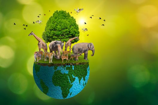 Concept Nature reserve conserve Wildlife reserve tiger Deer Global warming Food Loaf Ecology Human hands protecting the wild and wild animals tigers deer, trees in the hands green background Sun light