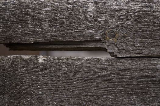 Old wooden texured surface closeup. Moss and relief on surface. Stock photo of old wooden pattern of aged boards with moss. Brown and gray colors on photo.