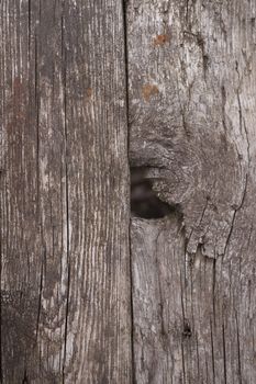 Old wooden texured surface closeup. Moss and relief on surface. Stock photo of old wooden pattern of aged boards with moss. Brown and gray colors on photo.