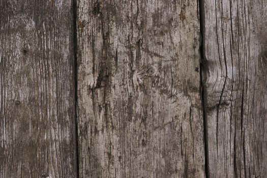 Old wooden texured surface closeup. Moss and relief on surface. Stock photo of old wooden pattern of aged boards with moss. Brown and gray colors on photo.