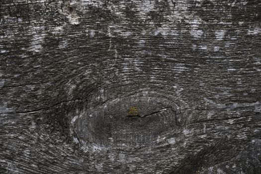 Old wooden texured surface closeup. Moss and relief on surface. Stock photo of old wooden pattern of aged boards with moss. Brown and gray colors on photo.