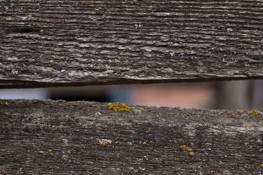 Old wooden texured surface closeup. Moss and relief on surface. Stock photo of old wooden pattern of aged boards with moss. Brown and gray colors on photo.