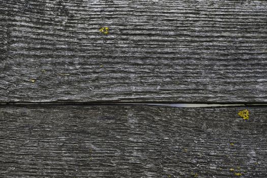 Old wooden texured surface closeup. Moss and relief on surface. Stock photo of old wooden pattern of aged boards with moss. Brown and gray colors on photo.