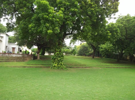 a green park