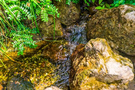 closeup of a small brook streaming over some rocks, nature background