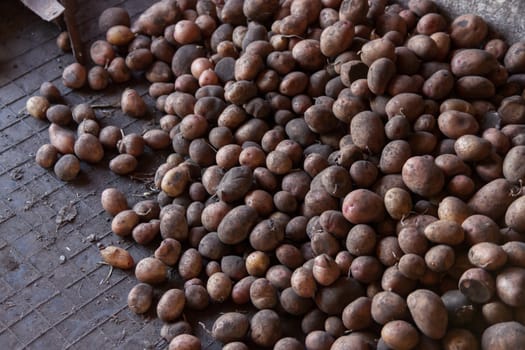 A bunch of potatoes on rubber floor.