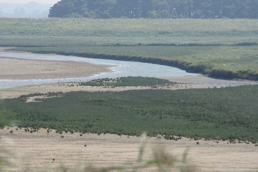 Nature Reserve (Het Zwin) bordering Belgium Netherlands