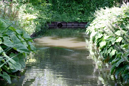 one of green plants trimmed narrow watercourse