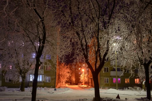 Night windows of houses, painted in different colors, through the snowy branches of trees.