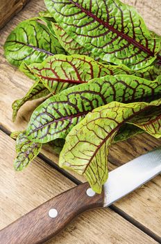 Bunch of fresh sorrel on wooden background.Sorrel bloody mary