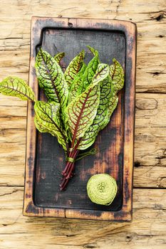 Bunch of fresh sorrel on wooden table.Sorrel bloody mary