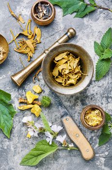 Mortar and bowl of raw and dried healing herbs.Assorted natural medical herbs