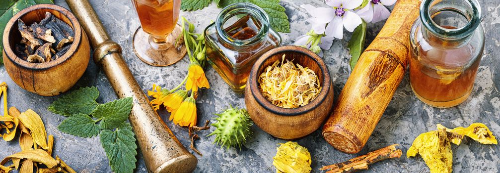 Mortar and bowl of raw and dried healing herbs.Alternative or herbal medicine