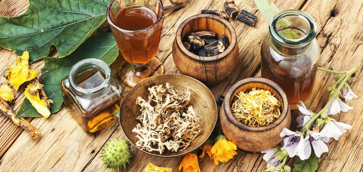 Mortar and bowl of raw and dried healing herbs.Alternative or herbal medicine