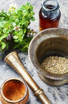 Oregano or marjoram leaves in herbal medicine