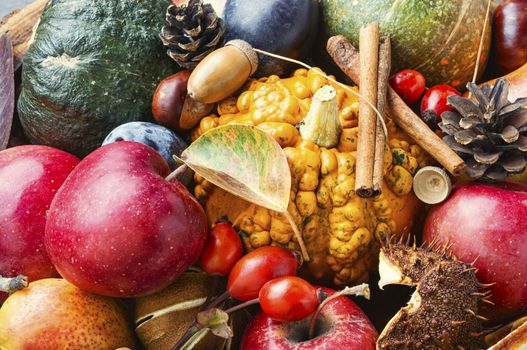 Fruits and pumpkins,nut in autumn still life on wooden table.Fall still life.Autumn background