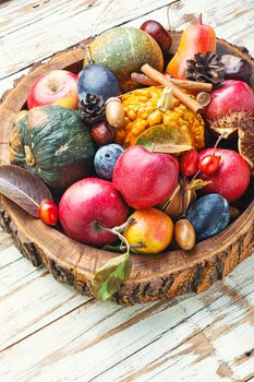 Autumn fruits and pumpkins with fallen leaves.Autumn harvest