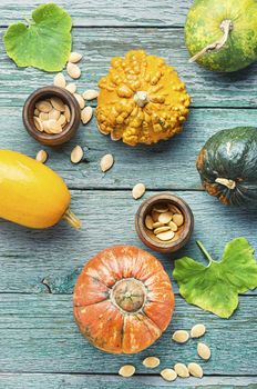 Big set of autumn pumpkins on old wooden table.Autumn symbol