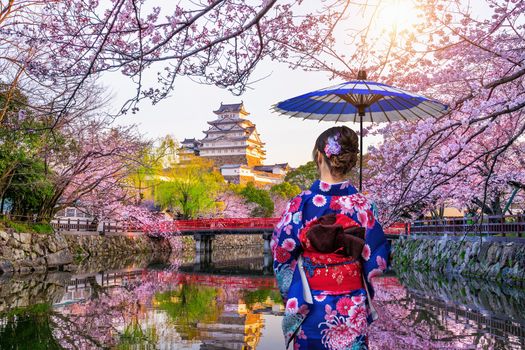 Asian woman wearing japanese traditional kimono looking at cherry blossoms and castle in Himeji, Japan.