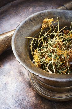 Dry medicinal hypericum.Medicinal herbs and alternative medicine