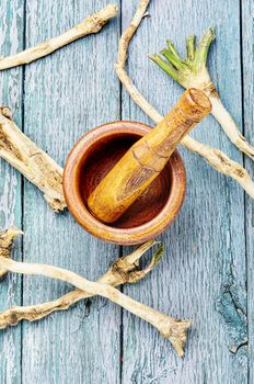 Fresh horseradish roots on wooden table.Ingredient for cooking spices.