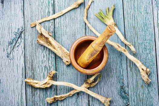 Fresh horseradish roots on wooden table.Ingredient for cooking spices.