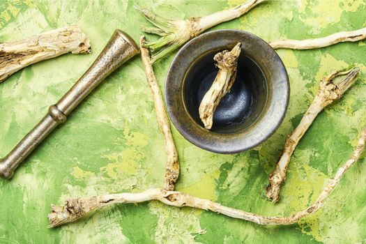 Fresh horseradish root.Raw horseradish rhizome.Ingredient for cooking spices.