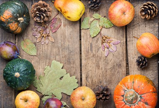 Autumn composing with pumpkin, fruit and fall leaves.Fall still life