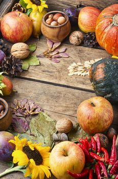 Autumn composing with pumpkin, fruit and fall leaves.Autumn background