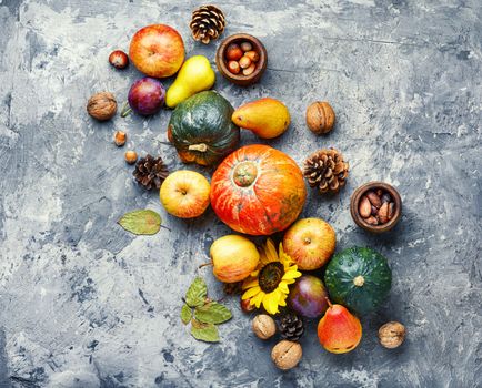 Autumn composing with pumpkin, fruit and fall leaves