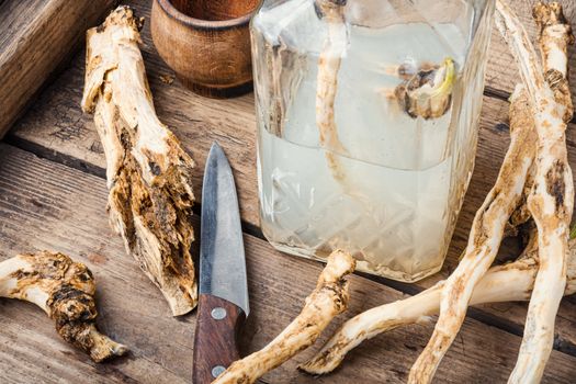 Preparation of alcohol tincture from fresh horseradish root