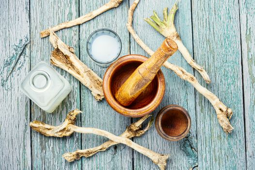 Preparation of alcohol tincture from fresh horseradish root