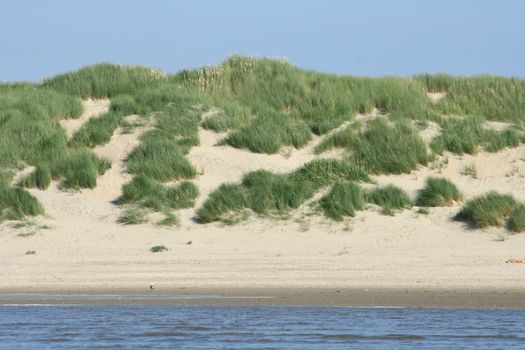 Sandy beach with sand dunes and blue sky in the background