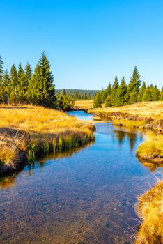 Small mountain creek meandering in the middle of meadows and forest. Sunny day with blue sky and white clouds in Jizera Mountains, Northern Bohemia, Czech Republic