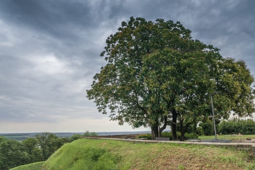 Panoramic View of the  Petrovaradin Fortress in Novi Sad, Serbia in a cloudy summer day