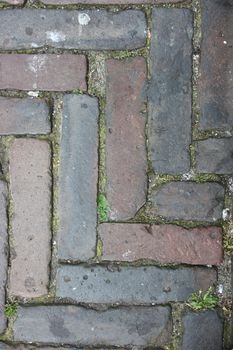 With rectangular colored stones laid pavement