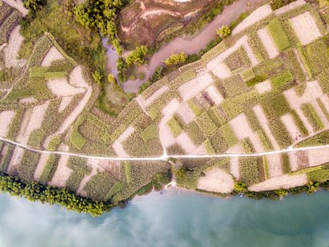 The bird's eye view of the fields in Chongzuo, Guangxi of China.