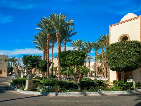 street in a city without people with palm trees and a green lawn in Egypt Sharm El Sheikh