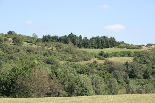 Mountain landscape with forest and meadows, blue sky in background