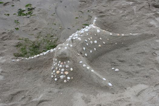 A fashion profiled seal is made of sand on the beach