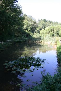 Natural landscape on the shores of an idyllic lake 