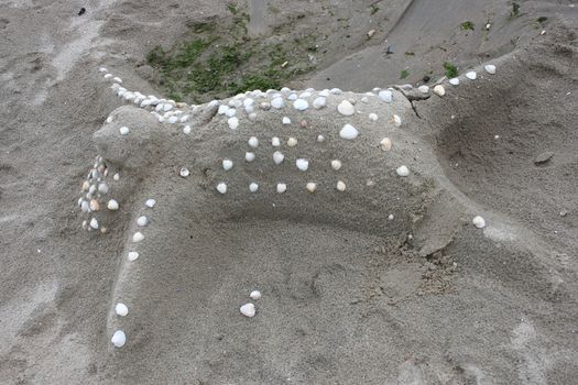 A fashion profiled seal is made of sand on the beach