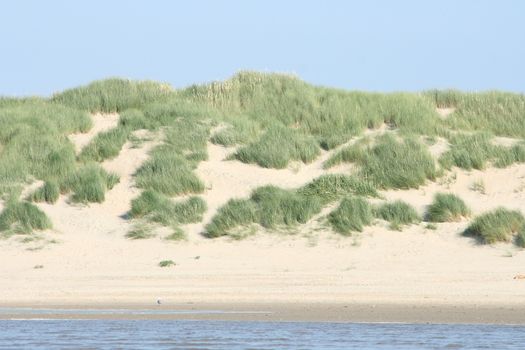Dunes along the North Sea coast in Belgium 